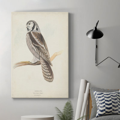 Canada Owl - impression sur toile tendue