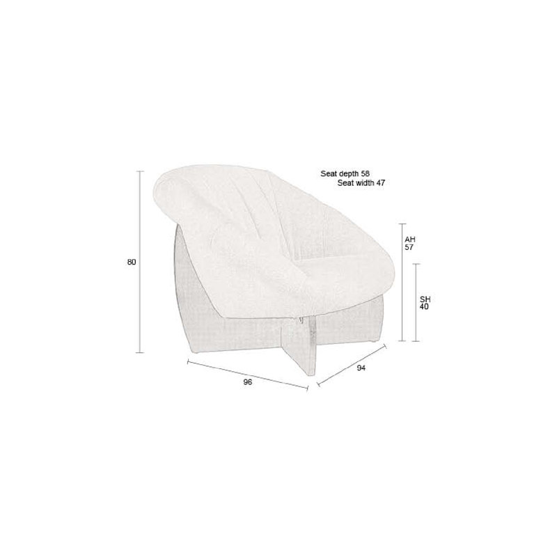 Accent Chair Lounge Chair