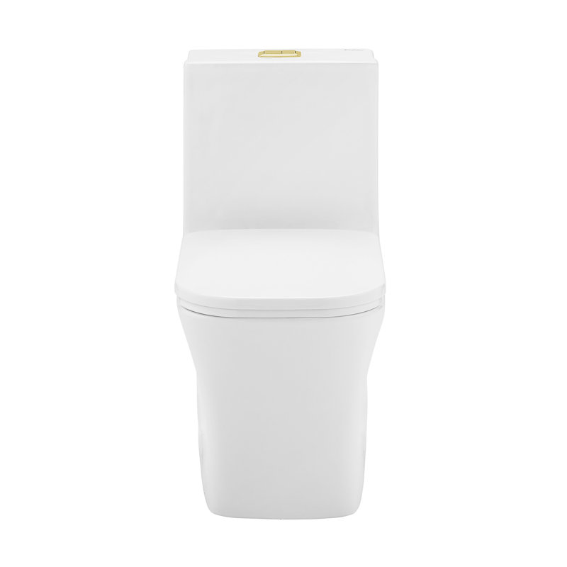 Concorde White One Piece Dual Flush Toilet with Brushed Gold Hardware