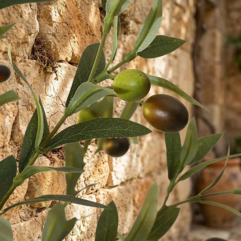 180cm Plant