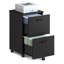 Franny 2 Drawer Filing Cabinet-308104670