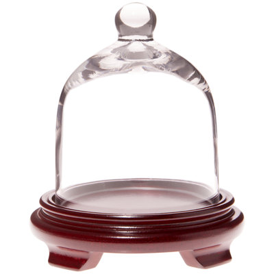 5" x 6" Bell Jar Glass Display Dome Cloche