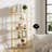 Sylvius Bookcase-486387919-528477374