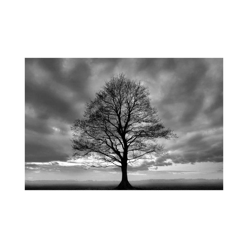 Grand arbre - Estampe numérique sur toile tendue avec châssis, H 12 po x l 18 po