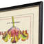 Le Fleur II Framed Art - Set of 2