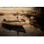 « still dock » par parvez taj,, reproduction d’art sur bois de pin naturel-1446321031