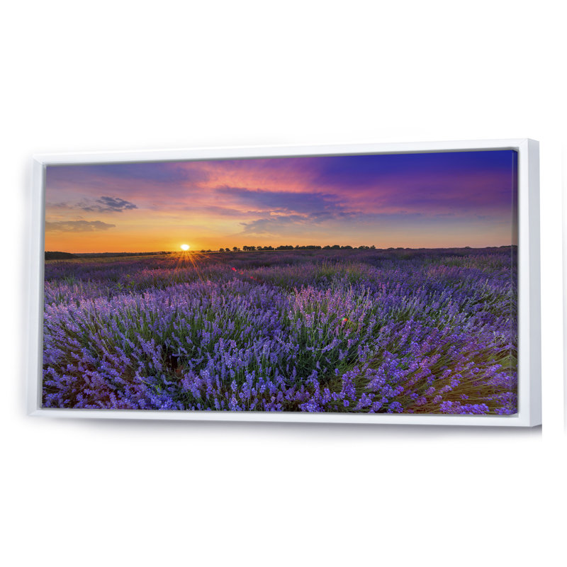 Lavender Field Sunset Landscape II - photographie sur toile, H 16 po x l 32 po x P 1 po, Cadre blanc