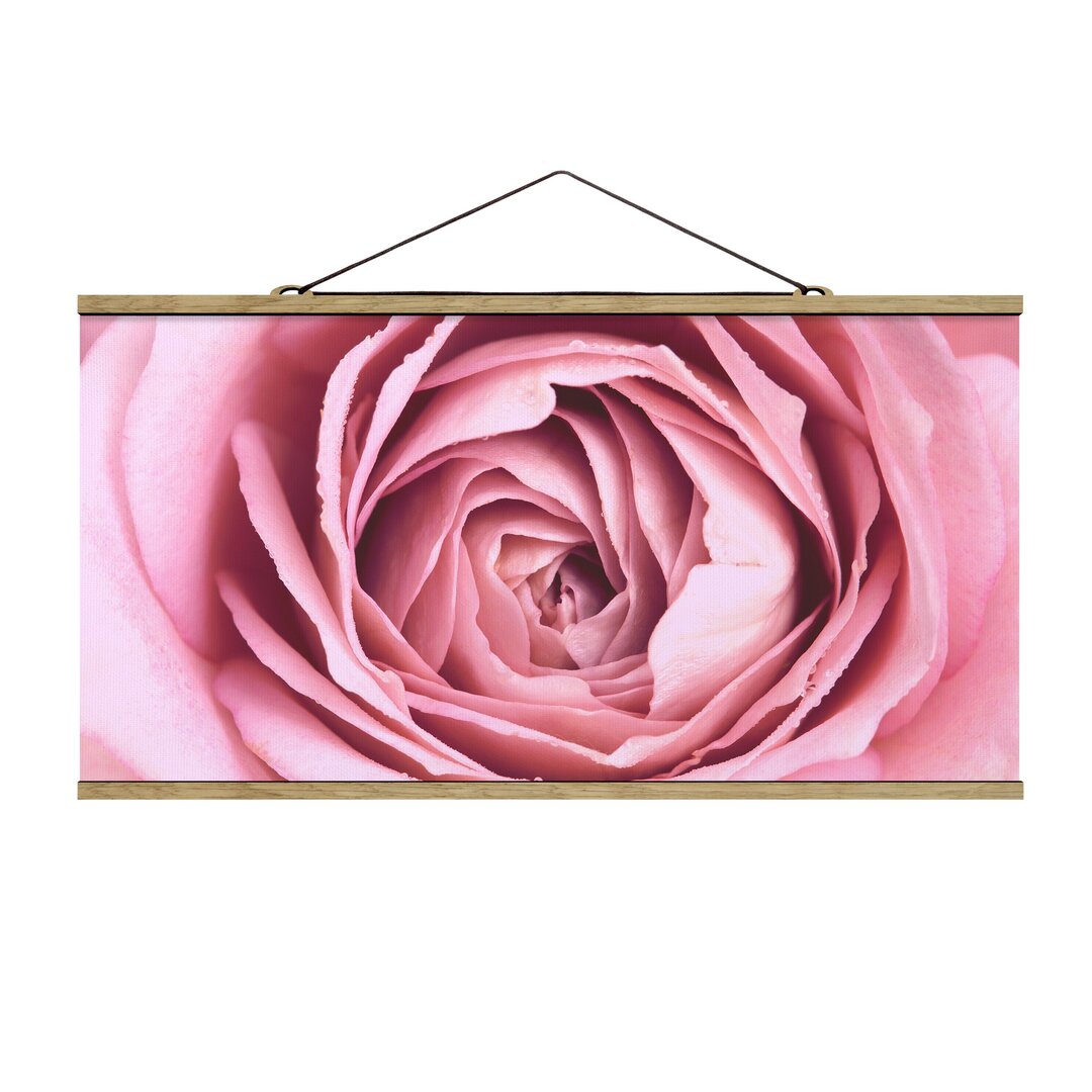 Fotodruck Pink Rose Blossom