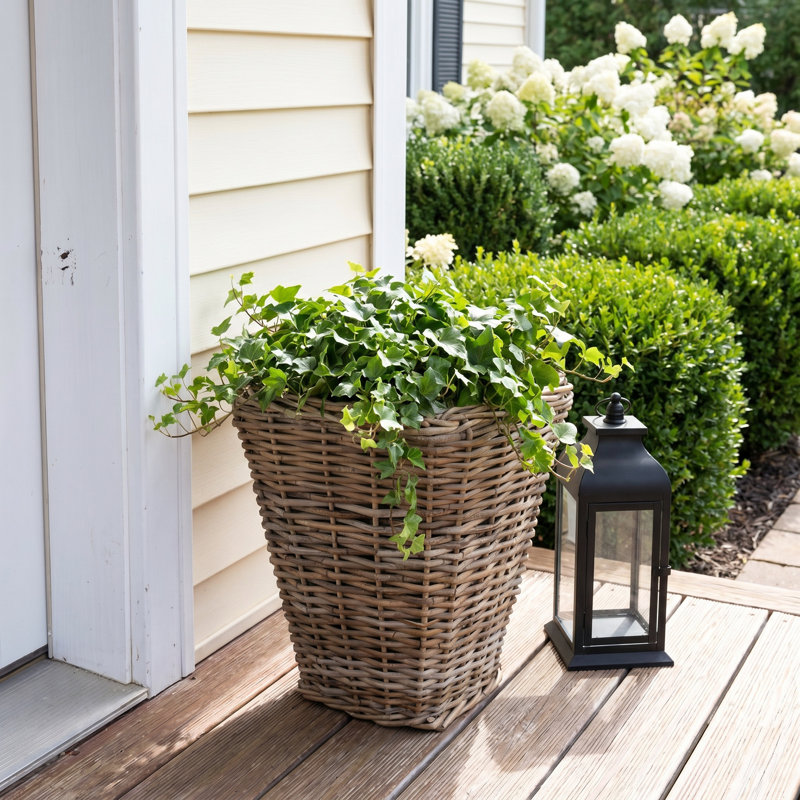 Square Tapered Planter with Black Plastic Insert