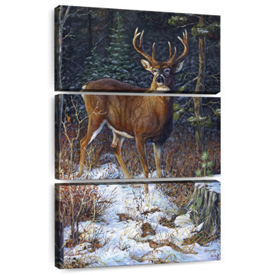 Last Light - Whitetail