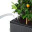 Trio Planter Box-16493114-16493113