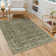 Orihue Vintage Brown Area Rug for Living Room with Non-Slip Backing