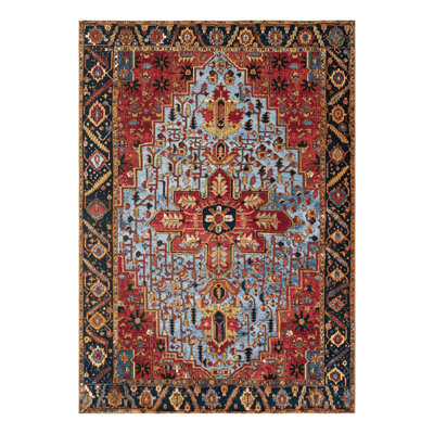 Outdoor Traditional Area Rug