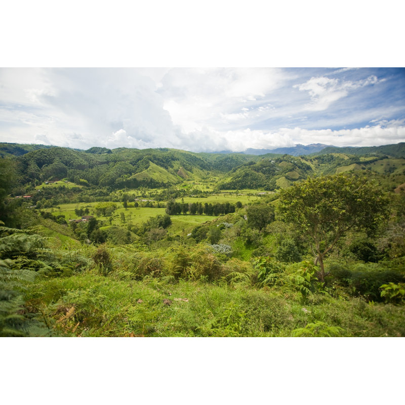 Salento, Colombie par Traveller1116, H 20 po x l 30 po