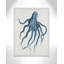 Atlantic Marine Museum Octopus I - impression-60385531-60385532