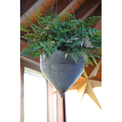 Roscoe Handmade Metal Hanging Planter