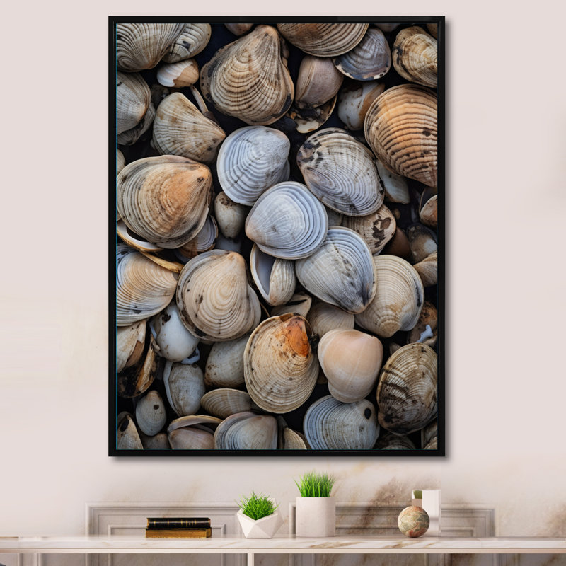«Lakari Grey Clam Coastal Harmony IV», reproduction sur toile, H 44 po x l 34 po x P 1,5 po, Cadre flottant noir