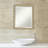 Adur Flat Mirror-565175349