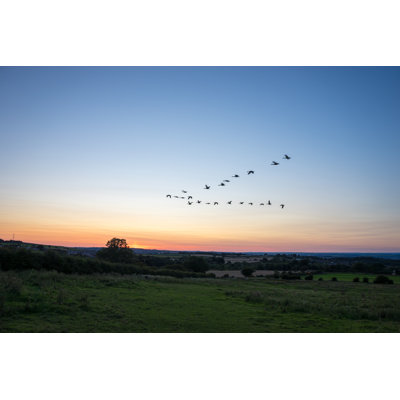 Bird Migration - Wrapped Canvas Print