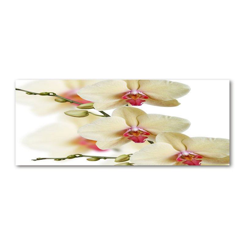 Orchid - Wrapped Canvas Print
