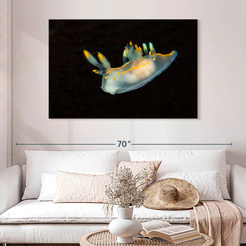 Sea Slug In Dark Waters