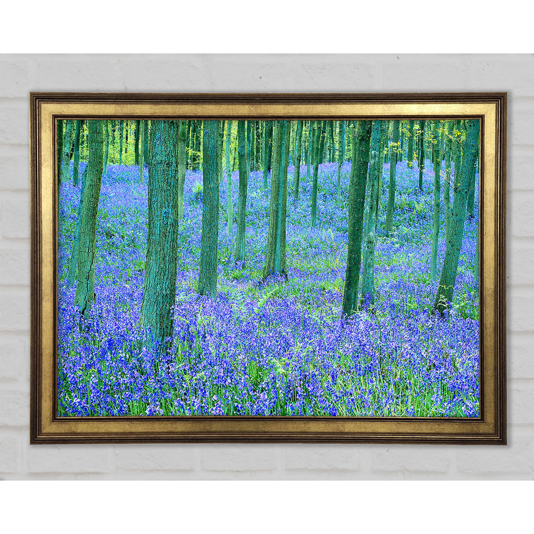 Bluebells In The Forest - Einzelne Bilderrahmen Kunstdrucke