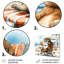Saxton - Coastal Animal Wall Art-106136648-106136650