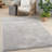 Indoor Rug-672672221