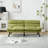 Furniture Sofa