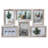Abigael Brown Wood Picture Frame - Set of 5