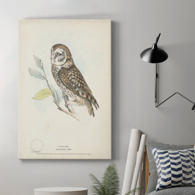 Petite chouette - impression sur toile tendue