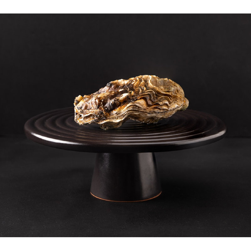 Assiette décorative en céramique Marni, Or, L 12 po x P 12 po