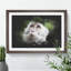 Macaque Monkey - Picture Frame Graphic Art-62802278-62802282