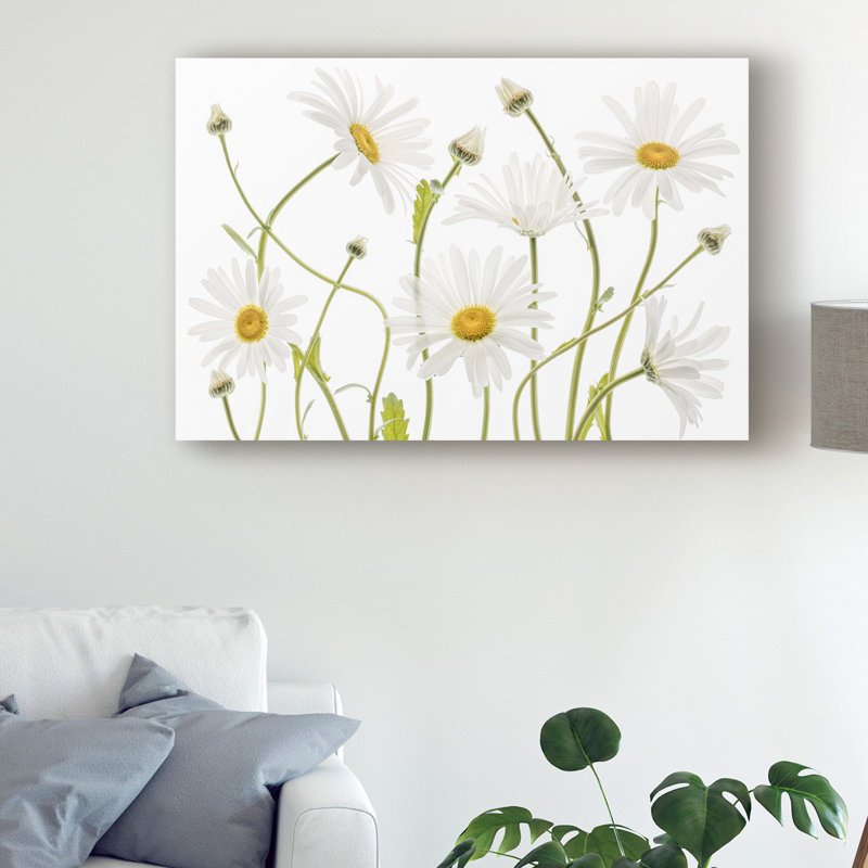 Modern & Contemporary, 12" H x 19" W x 2" D