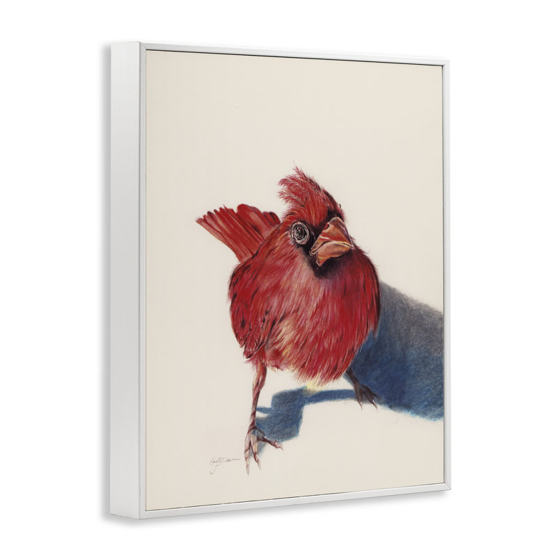 Oiseau cardinal debout, estampe numérique, design par Cady, H 30 po x l 24 po, Estampe numérique encadrée blanc bord de mer
