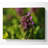 No Frame Print on Canvas-2037919983