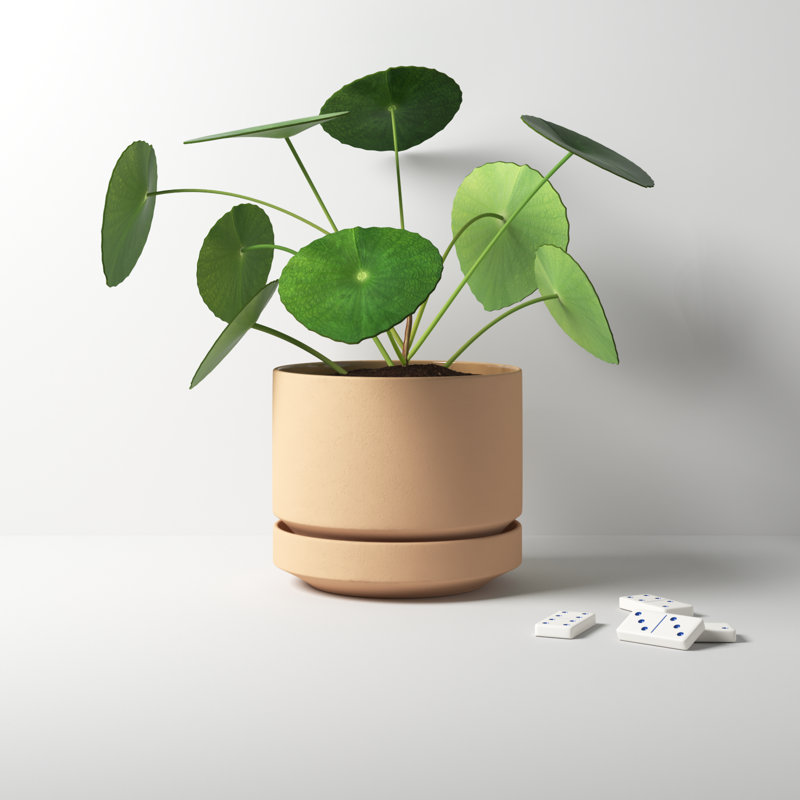 Byer Handmade Ceramic Pot Planter, Oatmeal, 6" H x 7" W x 7" D