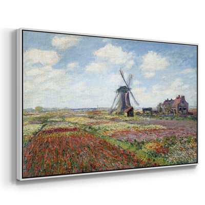 " Tulips Of Holland "