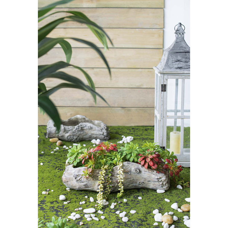 20x11x6.5" Haven Cement Planter, 6" H x 20" W x 11" D