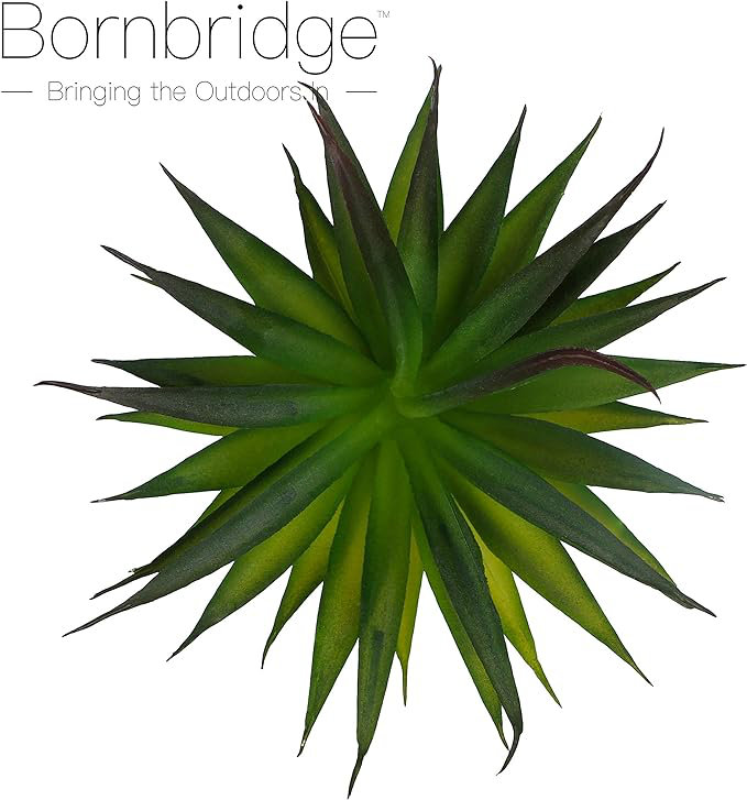 2.75" Artificial Stricta Succulent in Vase