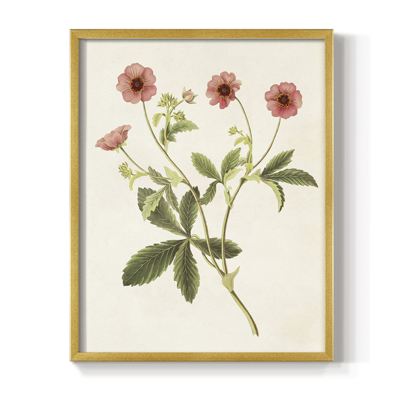 «Flowers of the Seasons», reproduction encadrée en bois massif, H 20 po x l 16 po