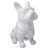 White is out of stock selected