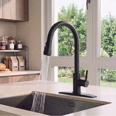 Pull Down Single Handle Kitchen Faucet with Accessories