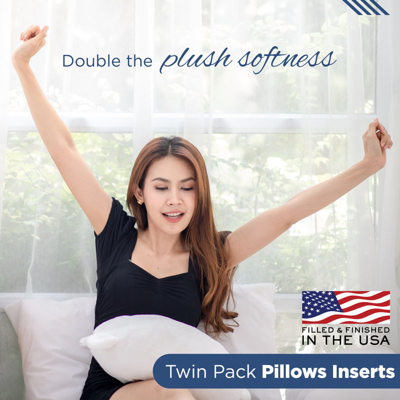 Martex Sweet Dreams 18 x 18 Twin Pack Throw Pillow Insert, Square 18"