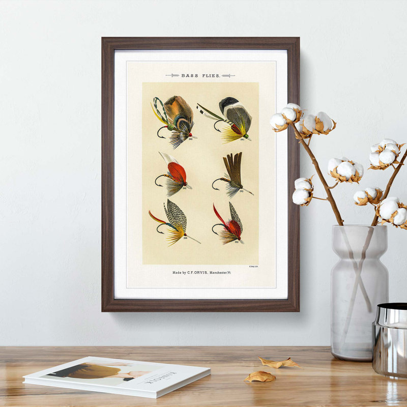 Bass Fishing Flies Versions 8 by Mary Orvis Marbury - Framed Print, 87cm H x 62cm W x 2cm D, Walnut Framed
