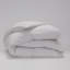 Comforter-1507839200-1507839205
