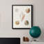 Toile encadrée Pastel Knorr Shells-350724587-350724598