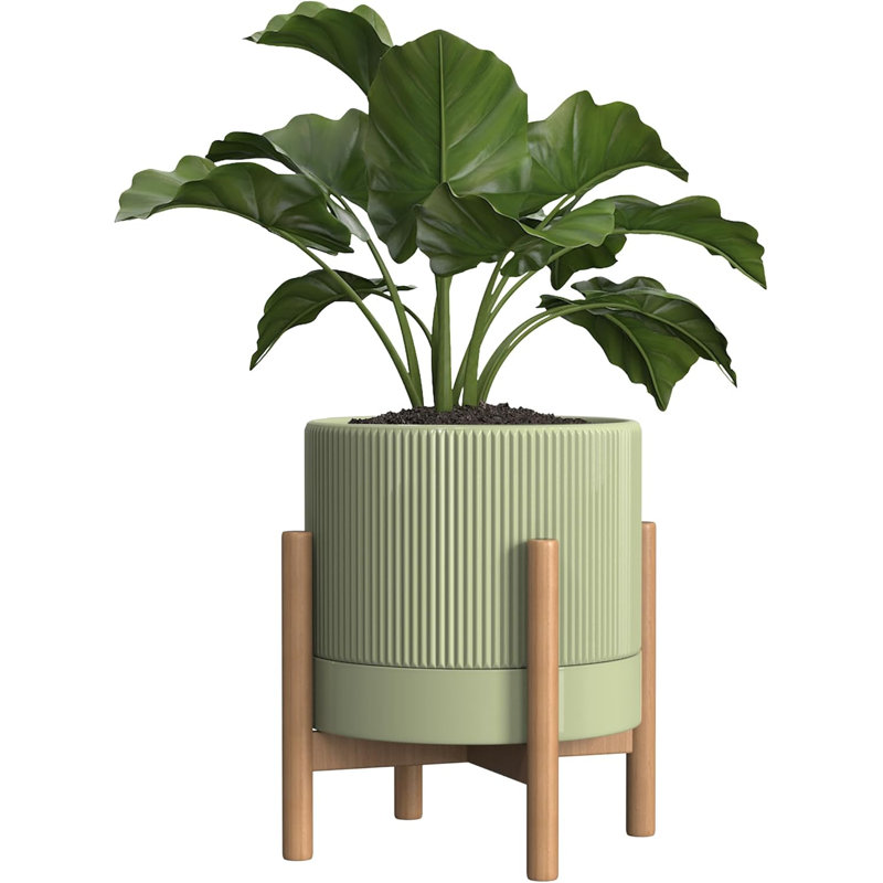 Pot 7,3 "en céramique avec trou de drainage et soucoupe vert