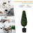 34'' Faux As Pic Topiary in Pot