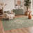 Seraphina Traditional Green / Brown Indoor Floral Area Rug,Machine Washable,with Non-Slip Backing-129917725